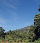 kampung cipelang