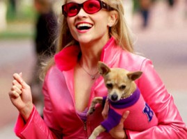 24032013 ilustrasi legallyblonde