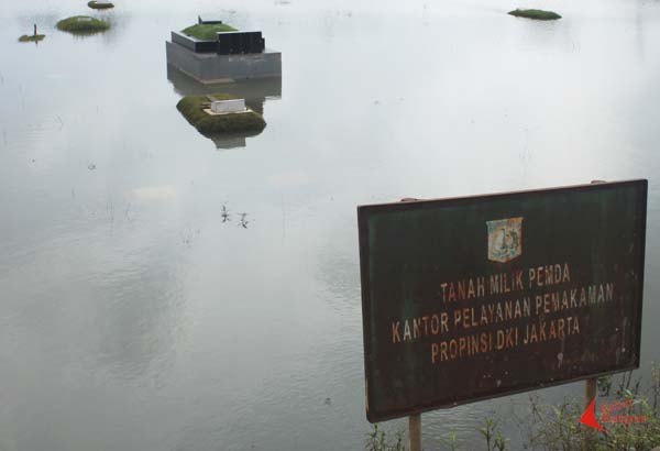 M Ali Wafa - Caused of Our Act