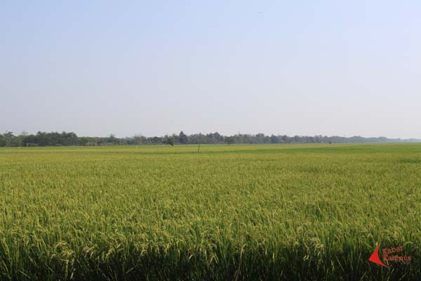 Nadia Fadhilah - Khatulistiwa