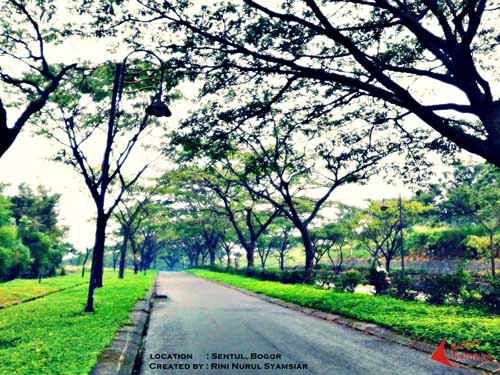 Rini Nurul Syamsiar - Untitled 20140131