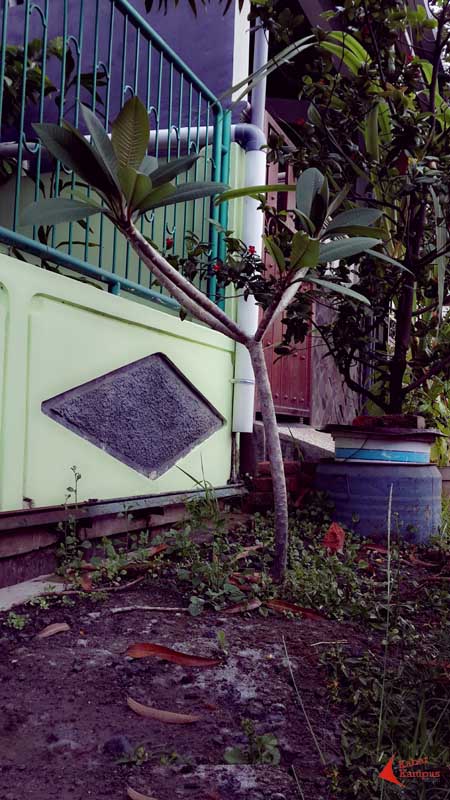 Rhesa - Untitled 20140412