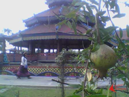 Kurnia Fitriati - Green Fruit Park