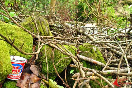 Indri Octavellia - Sampah Lagi