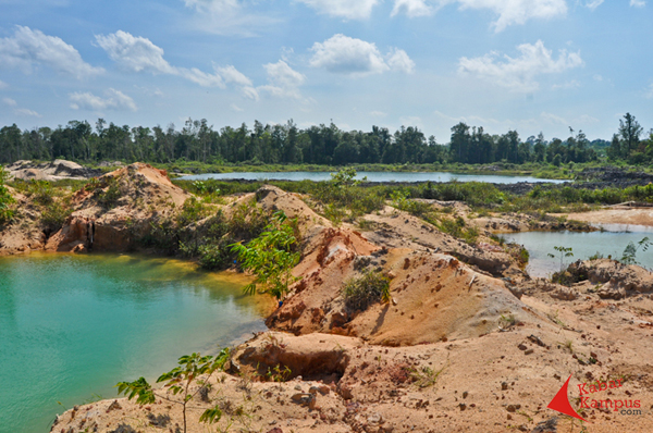 Melisa Ika Puspita - Hutan VS Tambang