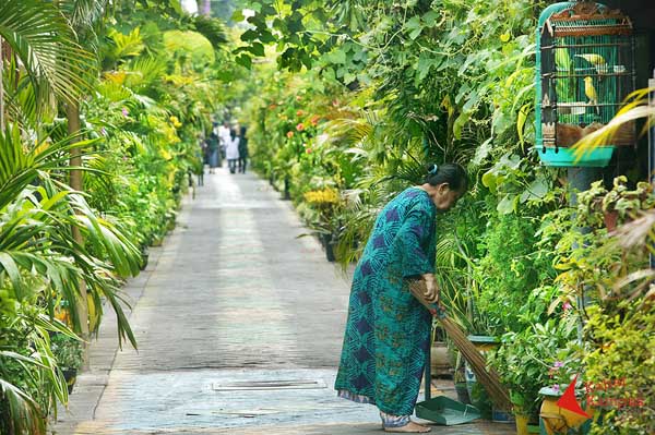 Adi Wiratmo - Kampungku Hijau