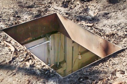 Tanaman ganja ditemukan di sebuah kontainer bawah tanah di belakang sebuah rumah di NSW. (Credit: ABC) 