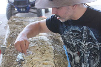 Spesialis paleontologi, Paul Stumkat, dengan fosil ikan sepanjang 2 meter yang ditemukan oleh turis di dasar sungai, di barat laut Queensland.