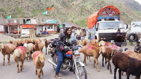 Zenith menemui gerombolan kambing ketika ia menjelajahi Naran di Lembah Kaghan.  Facebook; Zenith Irfan