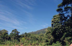 Orang Kampung Cipelang