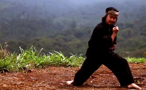 The Eastern Warriors Kisah Petualangan Menemukan Jati Diri Dalam Silat