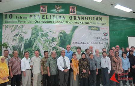 20 06 2013 Penelitian Orangutan