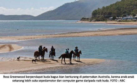 15 07 2013 kuda di australia menurun