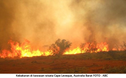 21 08 2013 kebakaran hutan australia
