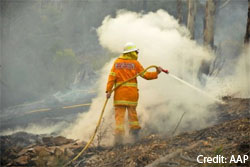 21 10 2013 kebakaran hutan di south wales