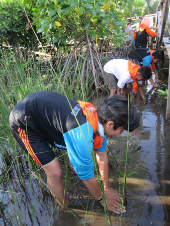MPA Unsoed tanam 1000 mangrove. Dok. Unsoed 