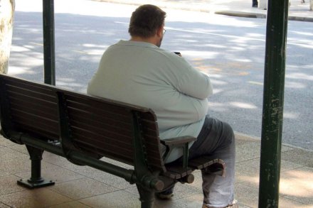 Para ahli kesehatan meminta agar pemerintah Australia menjalankan strategi anti obesitas nasional. (Credit: ABC) 