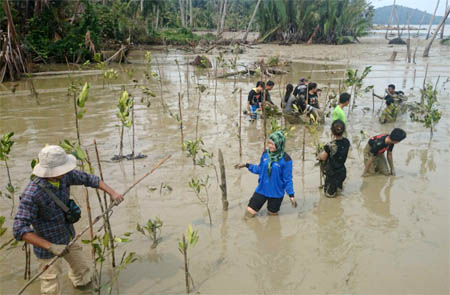 Forum Komunitas Hijau "Harmoni" Kota Singkawang melakukan penanaman 1000 batang mangrove di sepanjang pantai di daerah Sedau, Singkawang Selatan, Kamis (24/10/2014). Aksi peduli lingkungan yang dilakukan oleh 70 anak muda ini bertujuan mencegah abrasi di kawasan pantai Singkawang. FOTO : FKH Harmoni Singkawang
