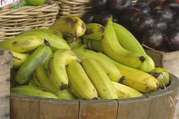 Program Pintar ANU Kumpulkan Makanan Sisa Supermarket Untuk Mahasiswa