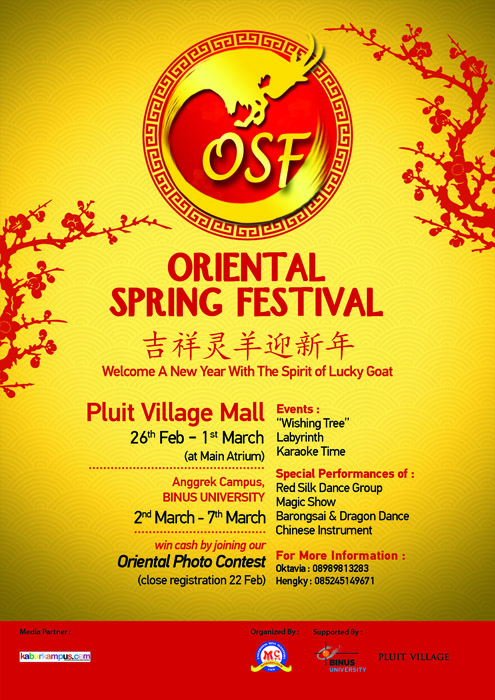 21 02 2015 Poster OSF