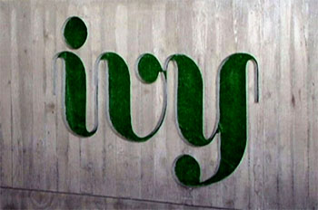 Klub Malam The Ivy Paling Banyak Tindak Kekerasan