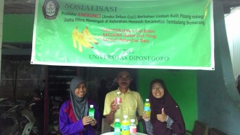 Mahasiswa Undip manfaatkan kulit pisang untuk membuat sabun dan membantu masyarakat Menteseh. Dok. Undip