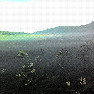 Alun-alun Suryakencana Gunung Gede Pangrango terbakar. Foto. Volunter Gede Pangrango