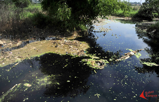 Inilah penampakan lahan persawahan yang bercampur limbah Bahan Beracun dan Berbahaya (B3) di wilayah Kampung Nyalindung, Desa Linggar, Rancaekek,Kabupaten Bandung, Rabu (23/12/2015). Sekitar 1000 hektar sawah di Rancaekek telah tercemar limbah. FOTO : PRABOWO SETYADI