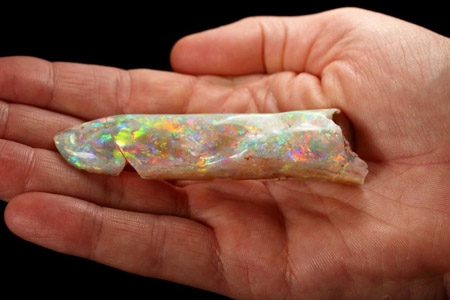 Opal Candle of Life diperkirakan bernilai Rp 3,4 miliar. (Supplied: Tony Lewis, SA Museum)