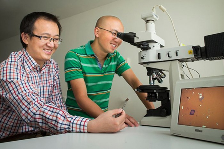 tim peneliti yang dipimpin oleh Dr Yuerui 'Larry' Lu dari Universitas Nasional Australia (ANU) menciptakan lensa, yang berukuran 2000 kali lebih tipis dari rambut manusia. (Foto: Stuart Hay, ANU) 