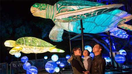 Pengunjung menikmati instalasi cahaya di Kebun Bintang Tarango sebagai bagian dari Festival Vivid 2016  Supplied: Destination NSW