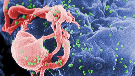 Peneliti di Adelaide mengalami kemajuan dalam menemukan vaksin untuk HIV.  Centres for Disease Control and Prevention