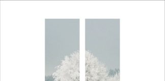 Satu Puisi Milan Djordjevic