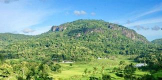 Nglanggeran Yogyakarta, Desa Wisata Terbaik Tahun 2021 Versi UNWTO