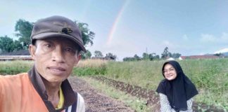 Upaya Petani Bertahan Dalam Tatanan Global