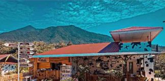 Wisata Kejulasi, Potensi Peternakan dan Industri Susu Sapi di Sumatera Barat