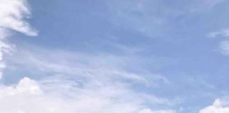 Kampung Tridi dengan Sejuta Mural di Kota Malang