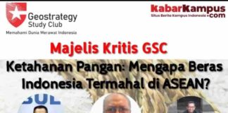 Ketahanan Pangan: Mengapa Beras Indonesia Termahal di ASEAN?