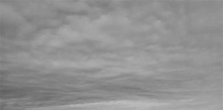 Apresiasi Pendidikan sebagai Penghubung Nagari, Mahasiswa dan Kampus dalam Pembangunan