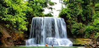 Keunikan Pariwisata Alam Tangkahan