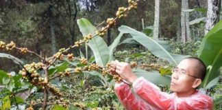 Negeri Agraris: Puas Sebagai Pembudi Daya?