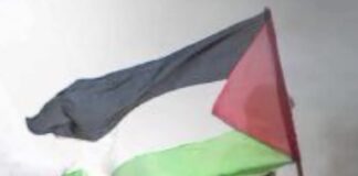 Bersatu untuk Palestina, Suarakan Kemanusiaan!