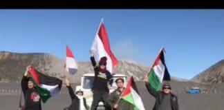 Stop Genocide, Free Palestine!