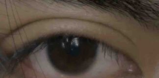 Kami Bersama Palestina