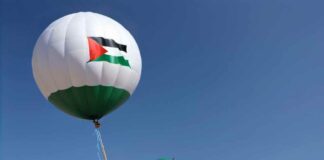 I Won’t Let Go of Flying and I Won’t Let Go of Falling