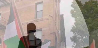 Perjuangan Palestina Menangkan Hati Seluruh Dunia