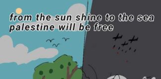 From the Sun Shine to the Sea