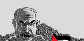 Struggle for Free Palestine