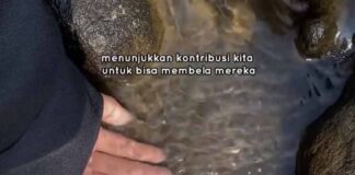 Kebaikan untuk Kemerdekaan