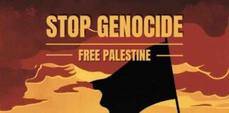 Stop Genocide, Save Gaza, Free Palestine